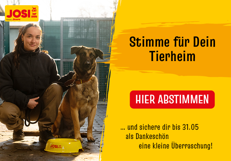 Josi Tierheim-Aktion: Abstimmen und Gewinnen 