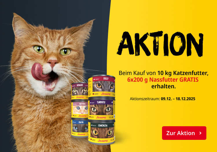 6x200g gratis beim kauf von 10kg Katzenfutter