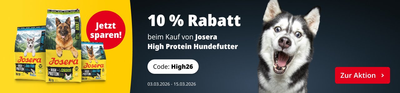 10 % Rabatt bei Kauf von High Protein Hundefutter