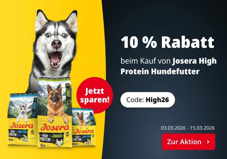 10 % Rabatt bei Kauf von High Protein Hundefutter