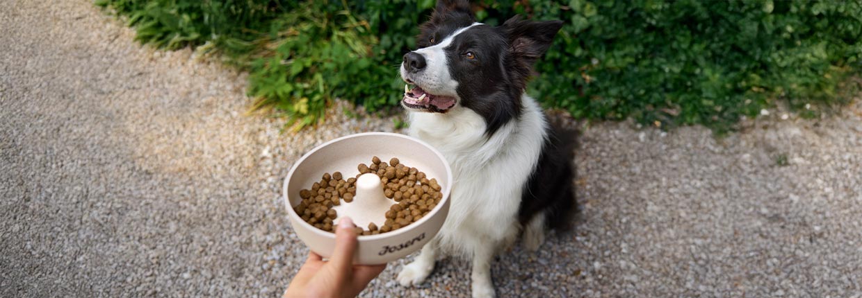 Was bedeutet eigentlich FEDIAF?