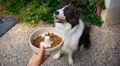 Was bedeutet eigentlich FEDIAF?