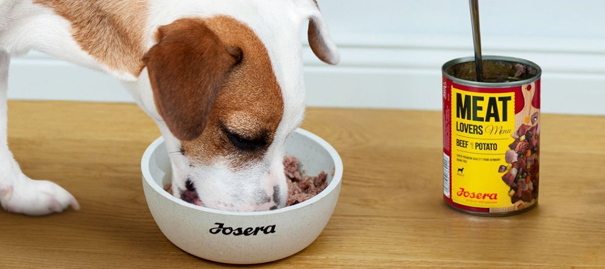 Nassfutter ohne Getreide - Warum getreidefreies Hundefutter füttern?