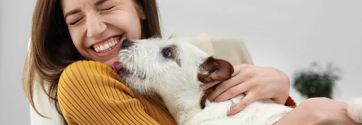 Bindung zum Hund aufbauen und stärken ♥ Tipps für eine harmonische Mensch-Hund-Beziehung