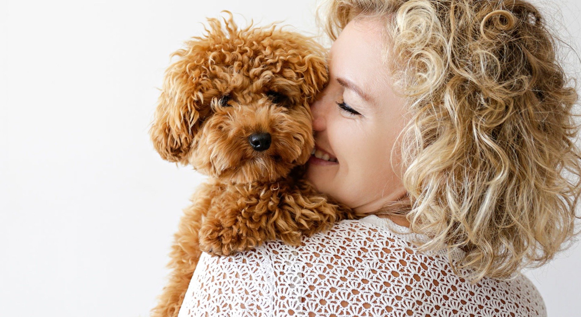 Hunderassen für Allergiker Hypoallergene Hunde