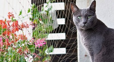 Balkon katzensicher machen: Tipps für eine Katzen-Oase im Freien