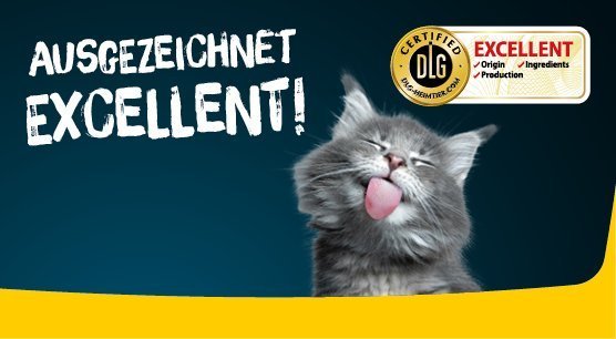Katzenfutter Test: JOSERA erhält DLG Produkt-Zertifikat "EXCELLENT"