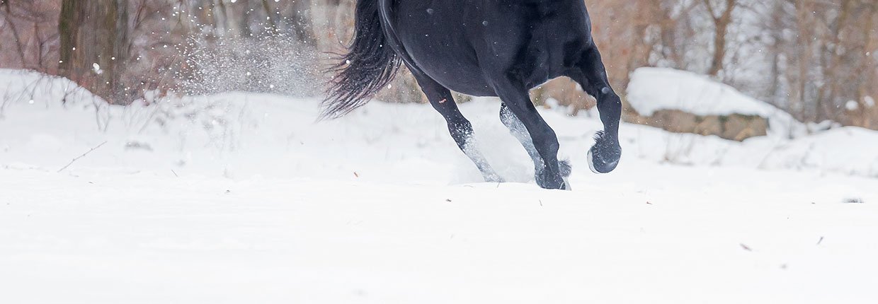 Sicher durch den Schnee – Aufstollen verhindern