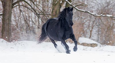 Sicher durch den Schnee – Aufstollen verhindern