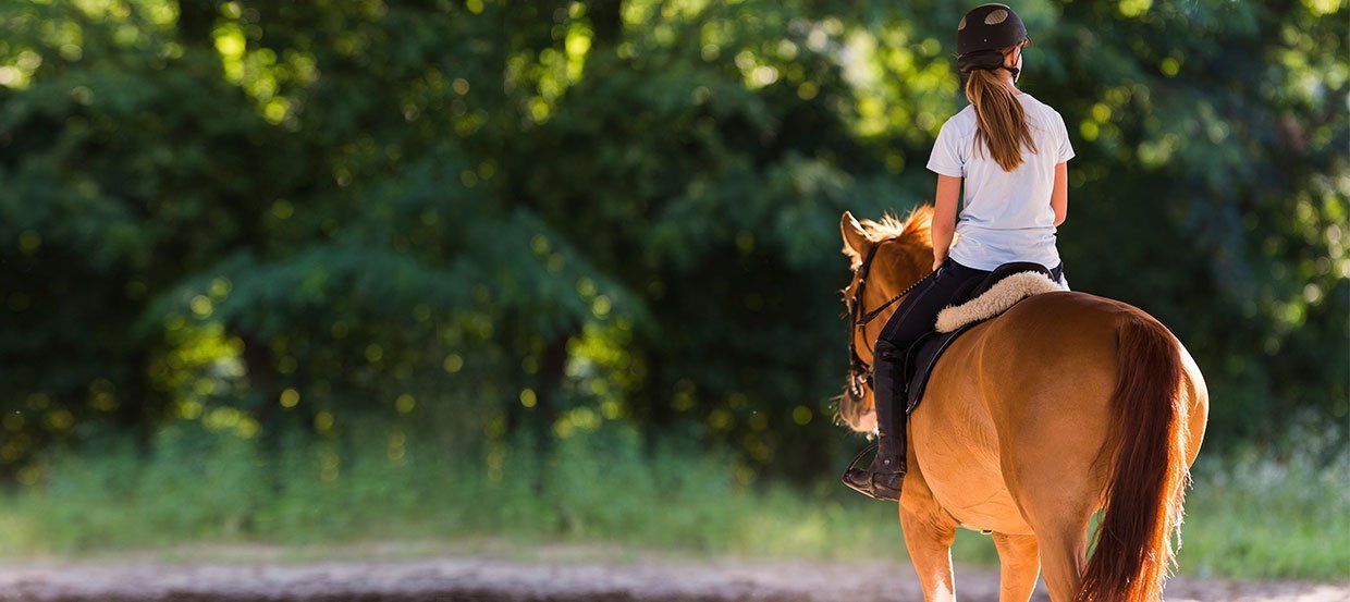 Ausreiten – aber sicher! So wird der Geländeritt zum Genuss