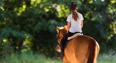 Ausreiten – aber sicher! So wird der Geländeritt zum Genuss