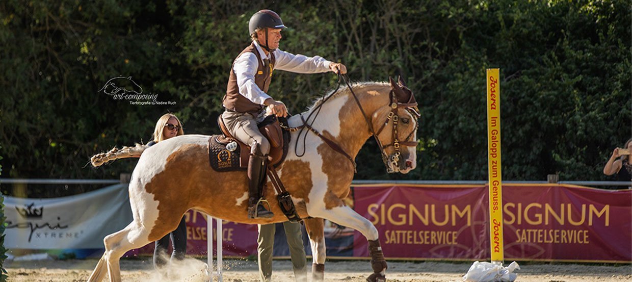 Working Equitation im Trend – Was hat es mit der Reitsportdisziplin auf sich?