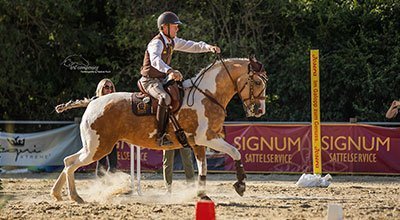 Working Equitation im Trend – Was hat es mit der Reitsportdisziplin auf sich?