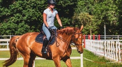 Die richtige Reitausrüstung: Worauf es bei der Ausstattung beim Reiten ankommt