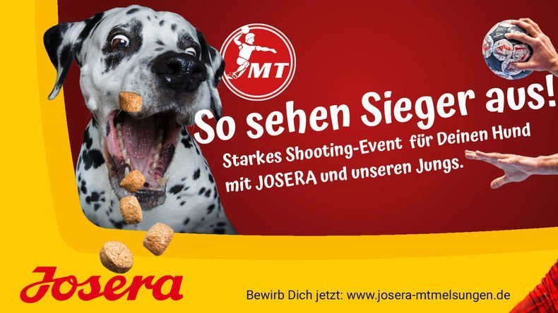  JOSERA Foto-Shooting mit Handballbundesligist MT Melsungen