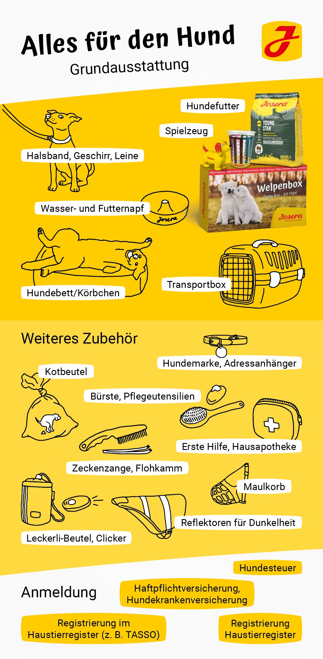 Alle Auto & Hund Produkte im Überblick