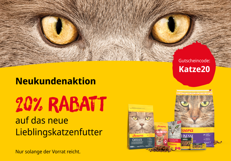 Neukundenaktion - 20% auf das neue Lieblingskatzenfutter