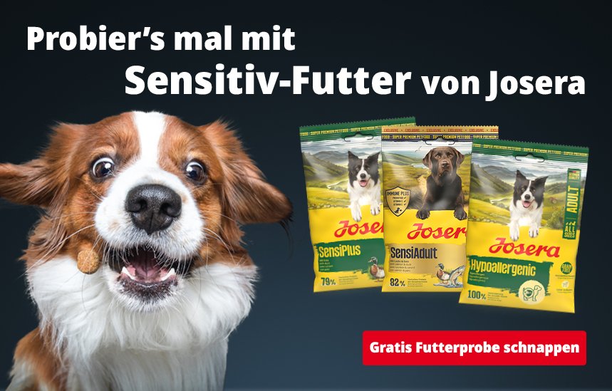 Kostenlose Futterprobe bestellen