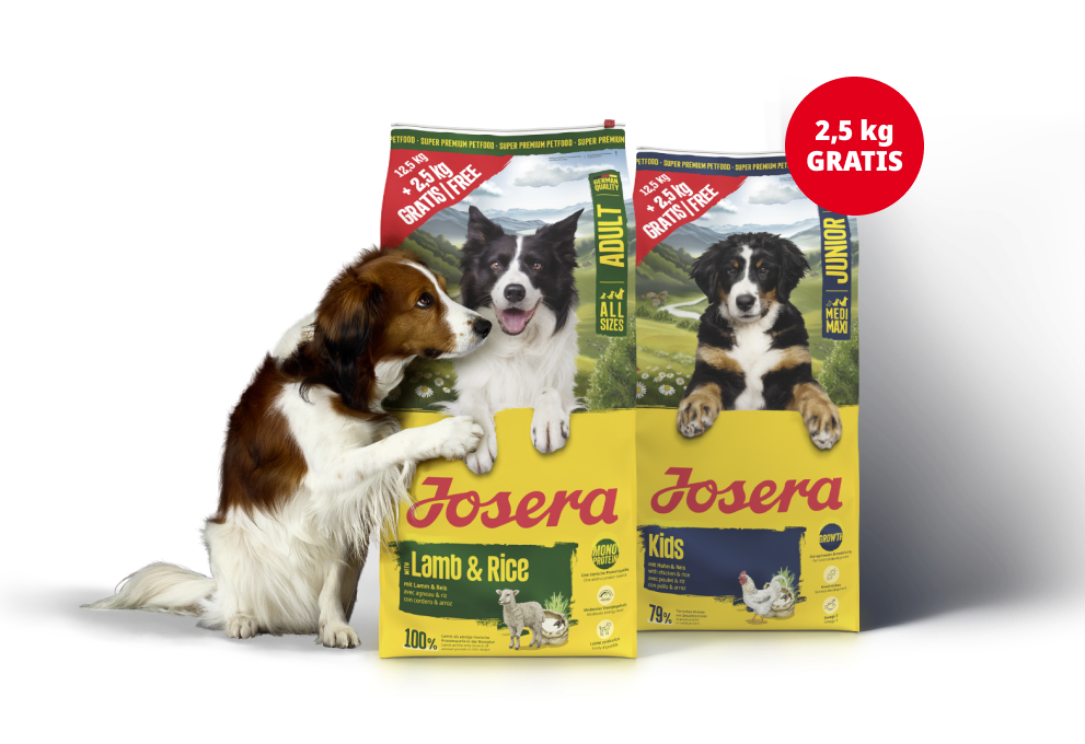 Kleiner Hund neben neuem Josera Futterbeutel