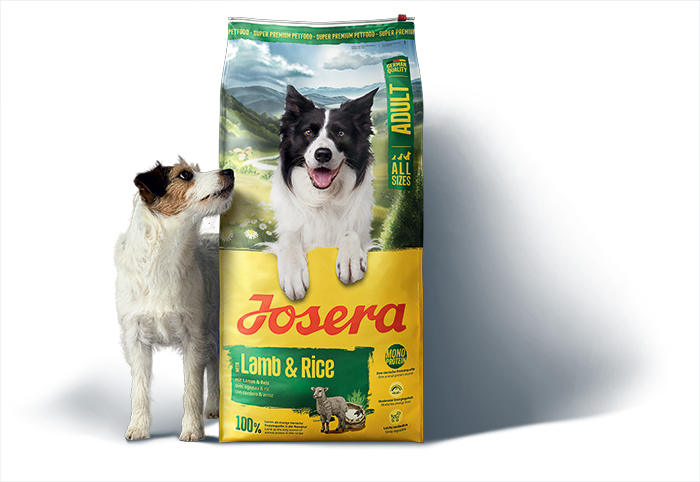 Kleiner Hund neben neuem Josera Futterbeutel