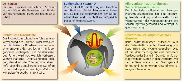 Inhaltsstoffe eines gesunden Pferdefutters