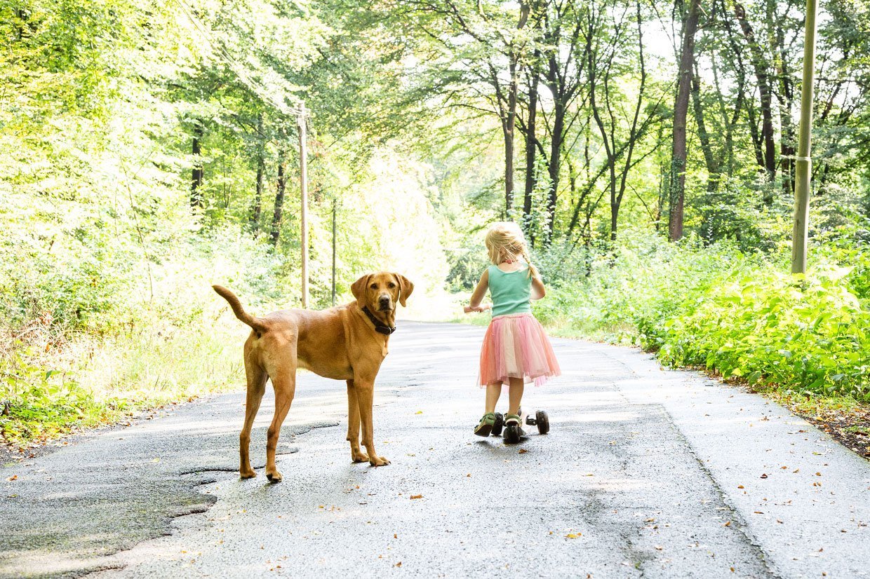 Kind mit Hund