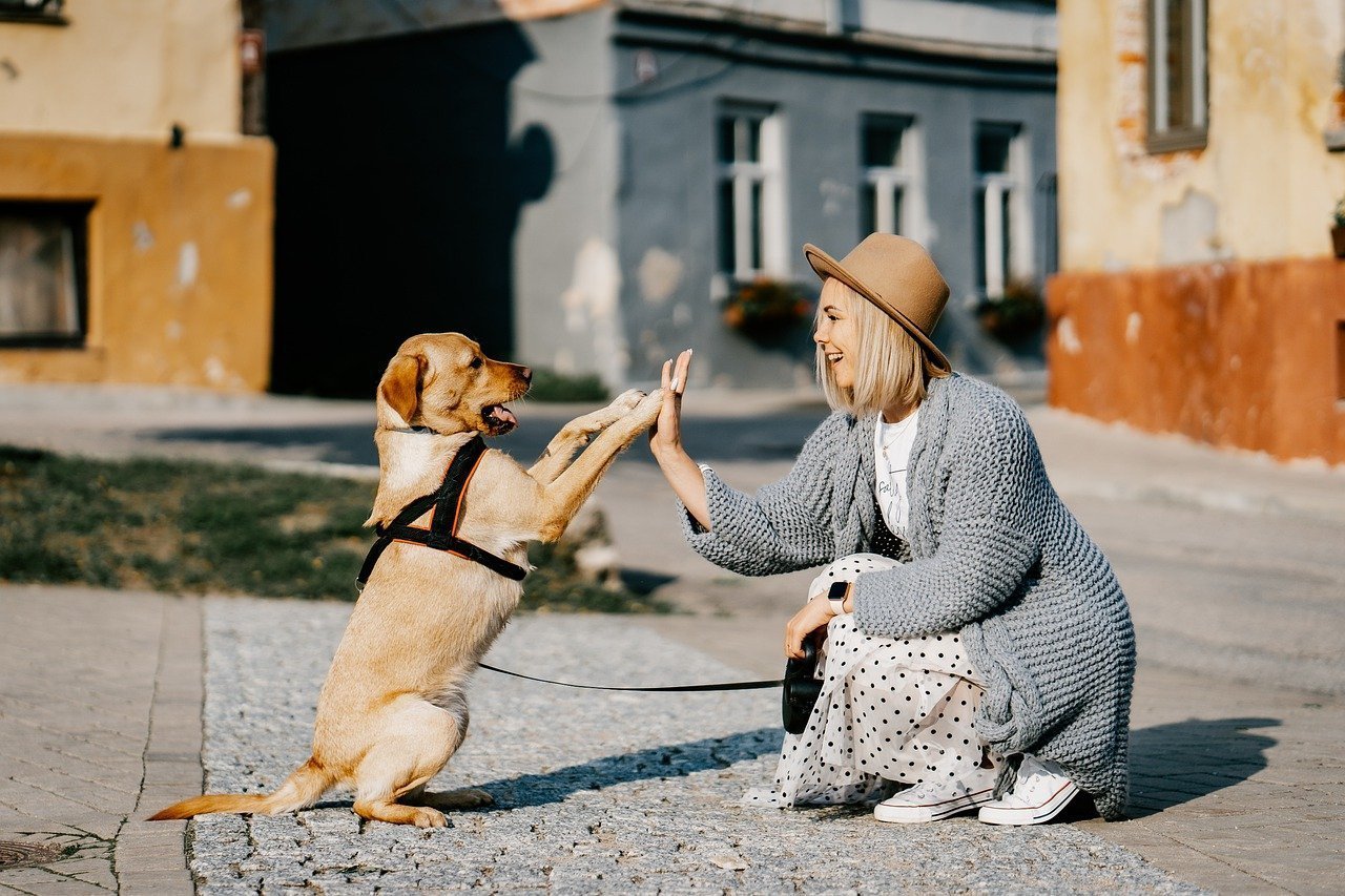 Hund und Frauchen geben Pfötchen