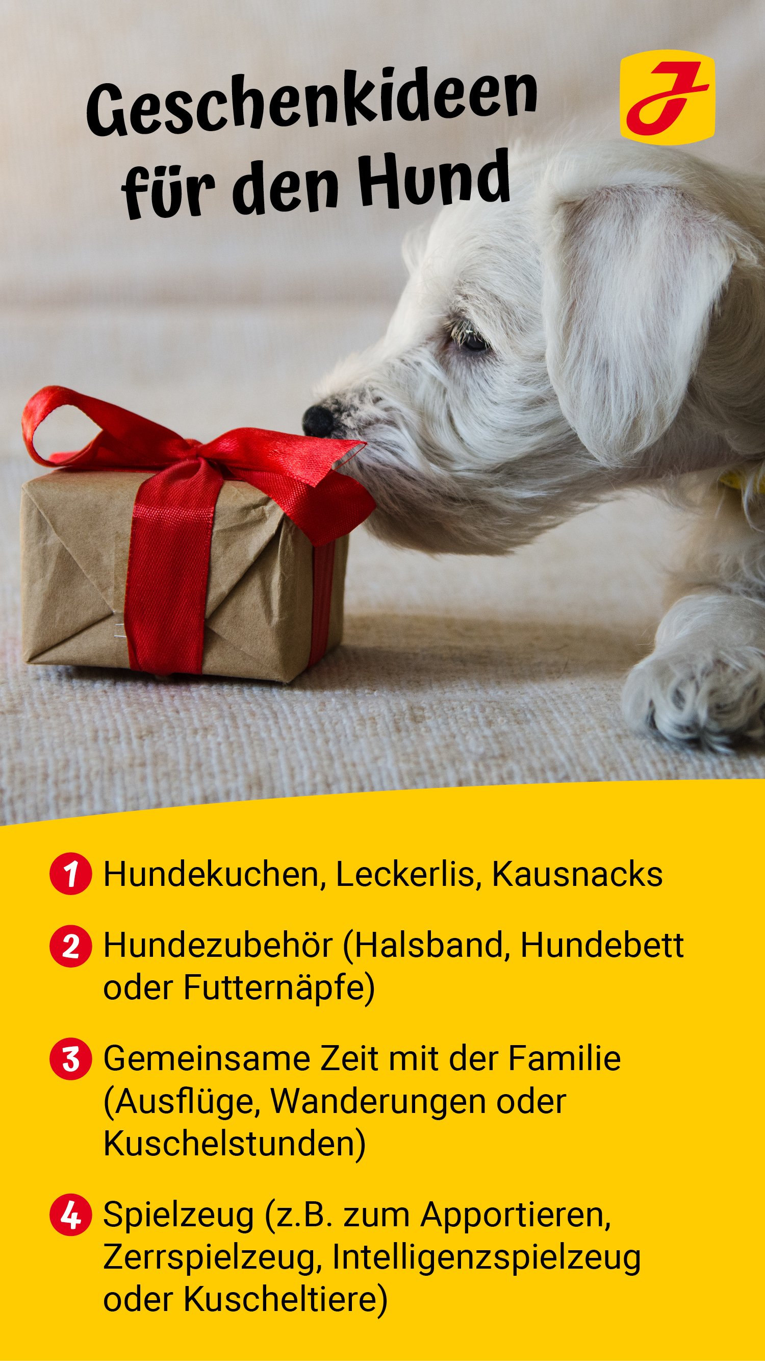 spielzeug hund der alles kann Geschenke für Hunde ♥ Tierische Geschenkideen