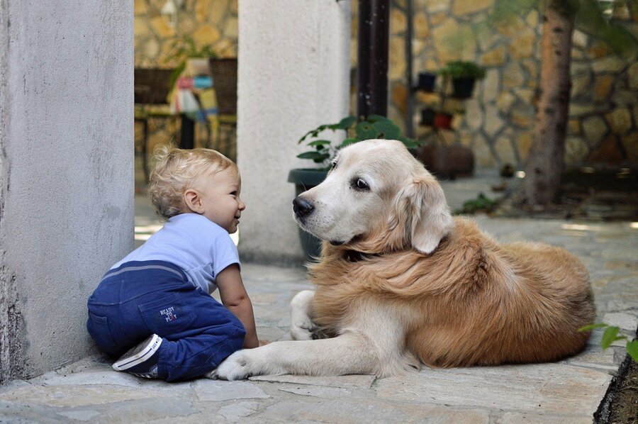 Kind und Hund - Giardien sind übertragbar