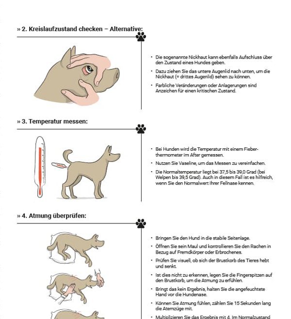 Effektiver Schutz Gegen Giftk der Gratis E Book F r Hundebesitzer Effektiver Schutz Gegen Giftk der Gratis E Book F r Hundebesitzer