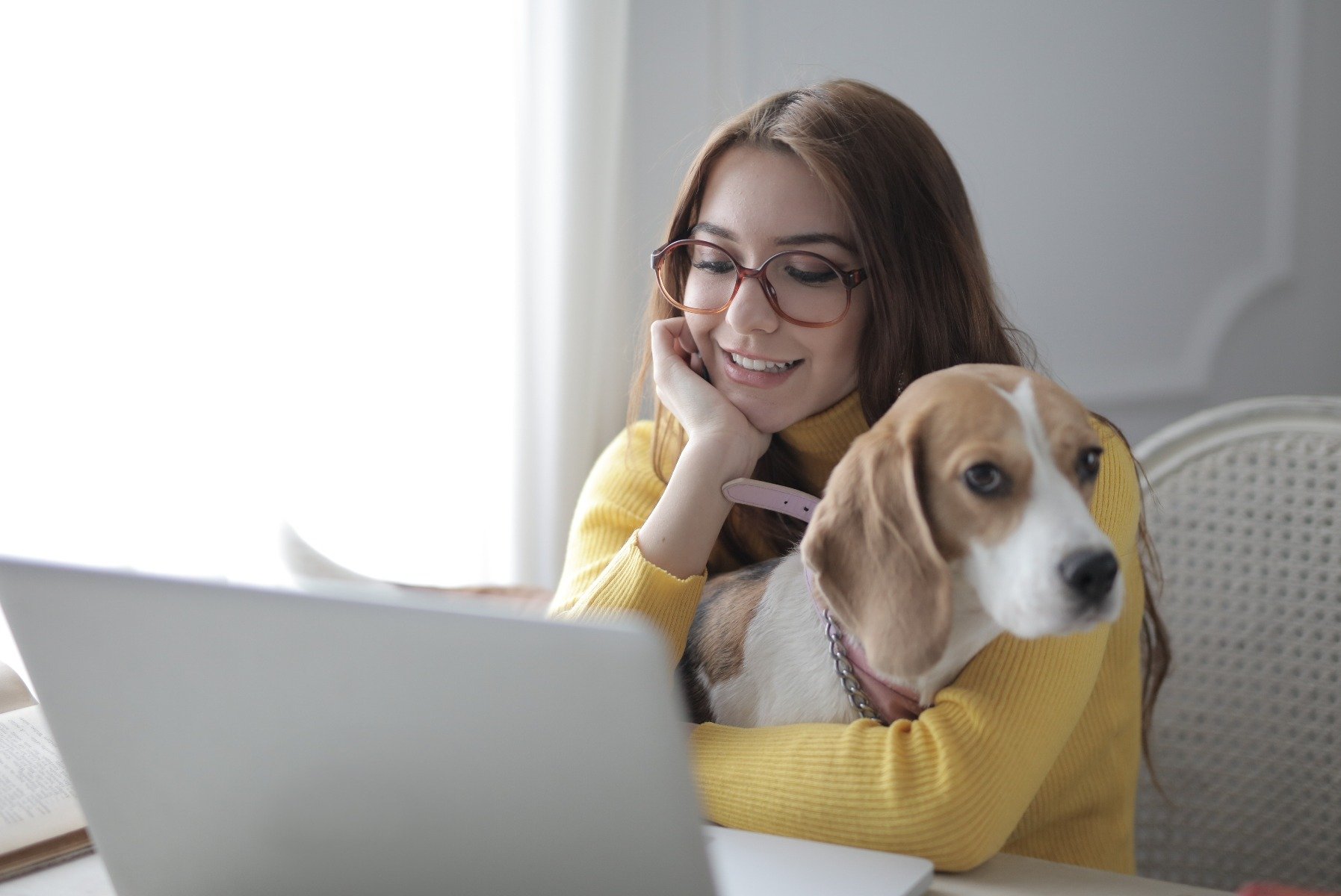 Hund sitzt auf Frauchens Schoß während der Arbeit.