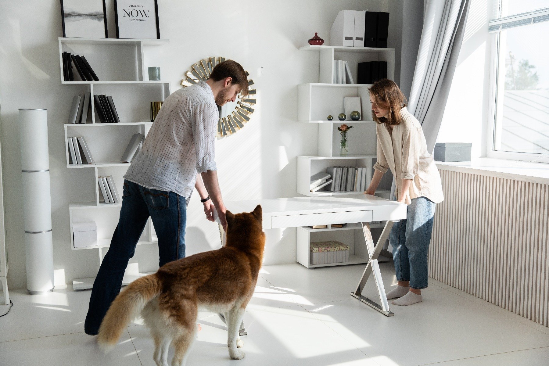 Einrichtung des Homeoffice mit Hund