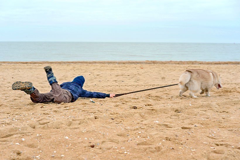 liegende Person wird am Strand von Hund an Leine gezogen