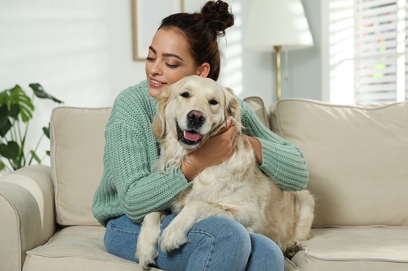 Ein Hund liegt auf der Couch auf dem Schoß seines Frauchens.