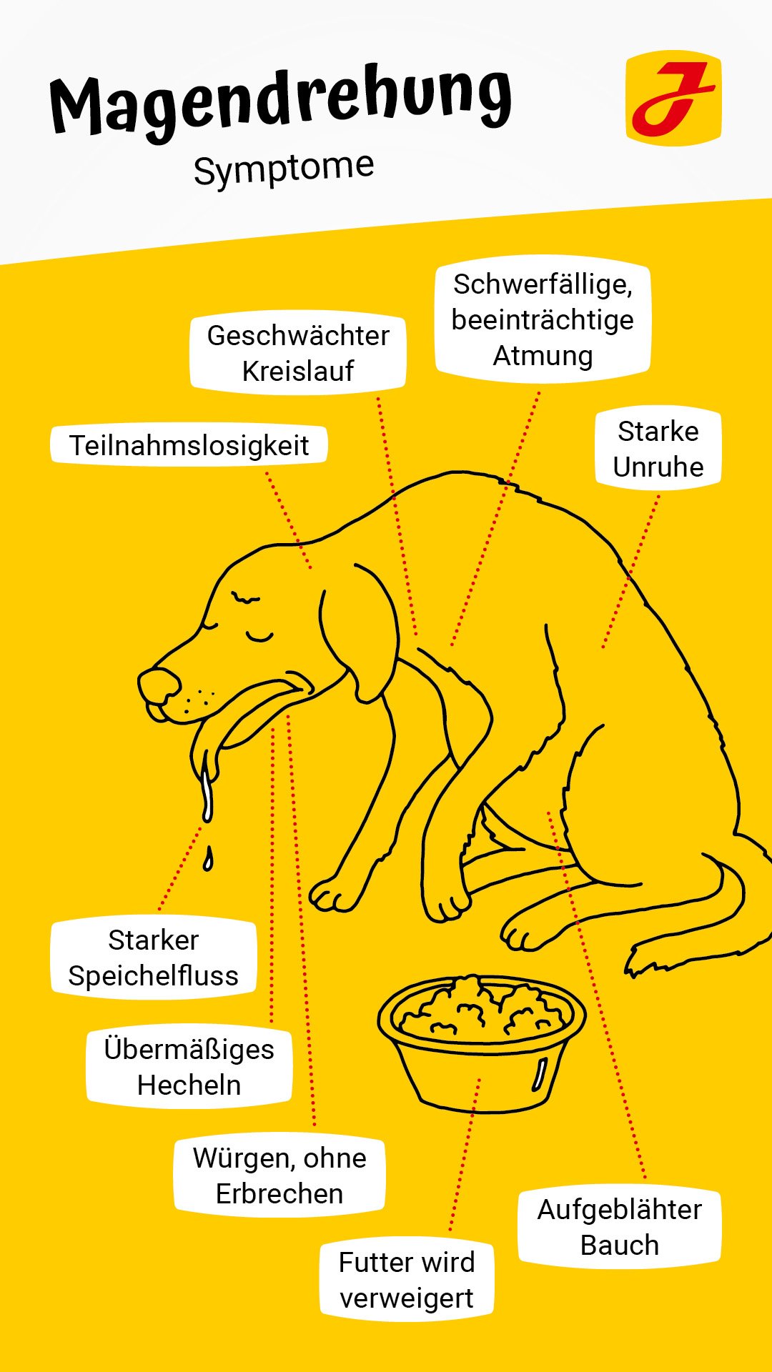 Vandret bark kort Magendrehung beim Hund ➨ Informationen & Tipps