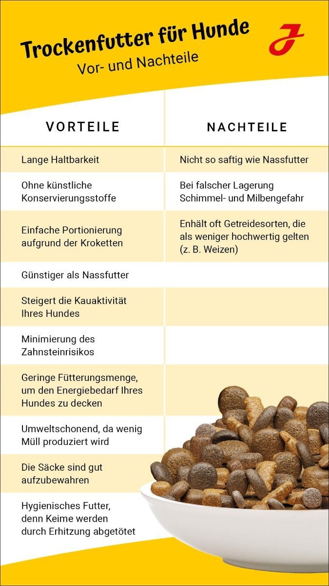 Nass- oder Trockenfutter was ist das Beste für meinen Hund? - LG Infografik Nass ODer Trockenfutter HunDe Instagram STORY 1080x1920px Rahmen 1