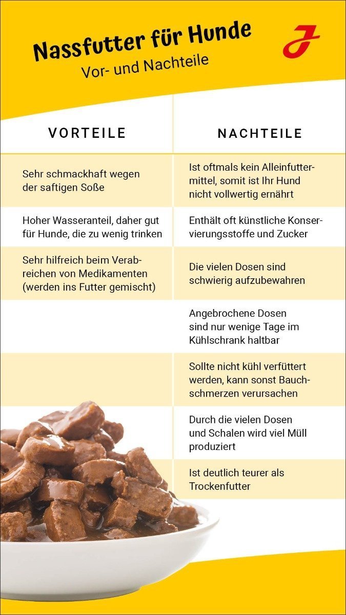 Nass- oder Trockenfutter was ist das Beste für meinen Hund? - LG Infografik Nass ODer Trockenfutter HunDe Instagram STORY 1080x1920px Rahmen 2