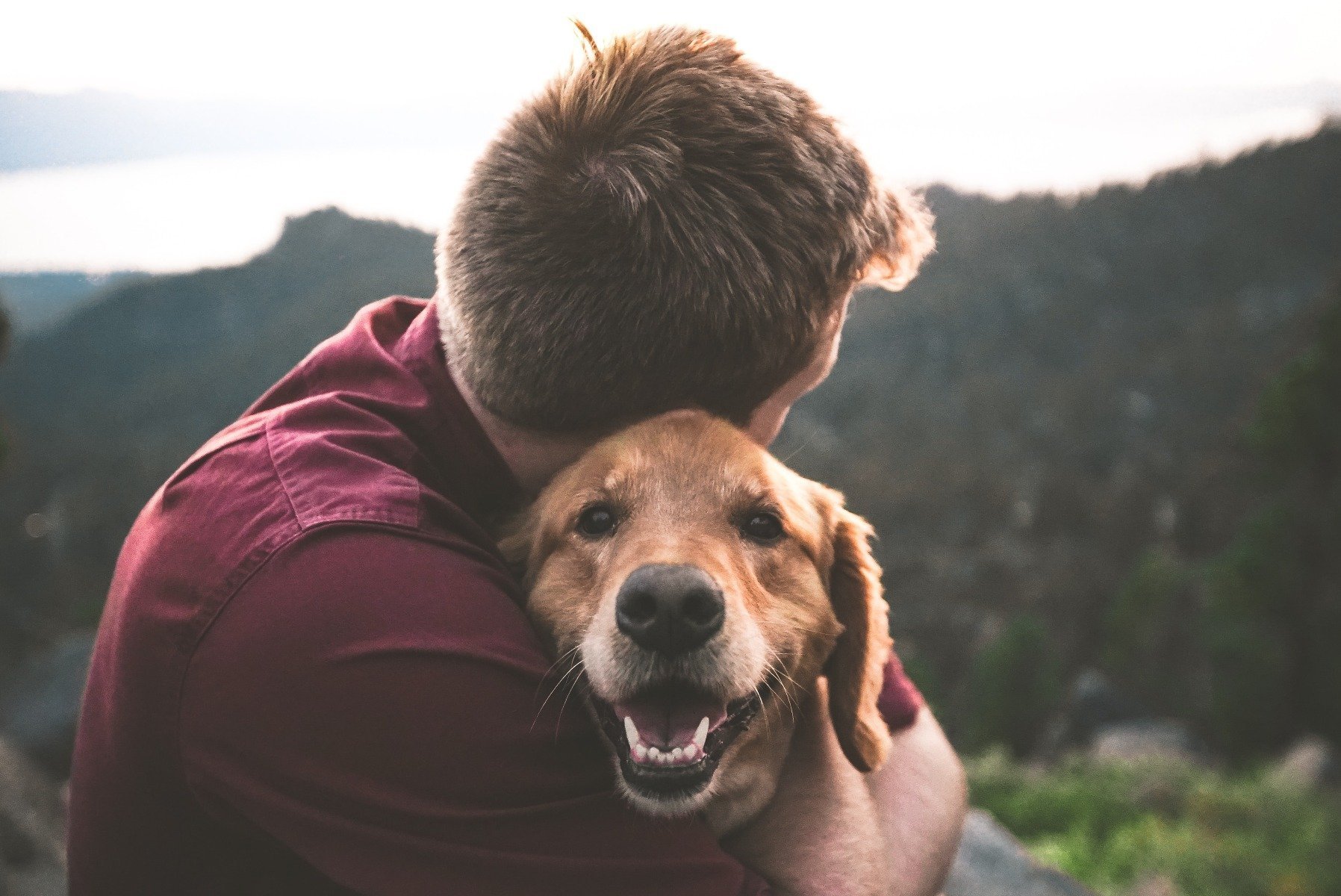 Herrchen hält Hund im Arm, bergige Landschaft im Hintergrund