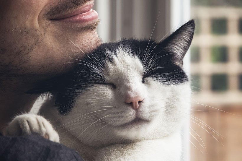 Mann hält schwarz weiße Katze im Arm.