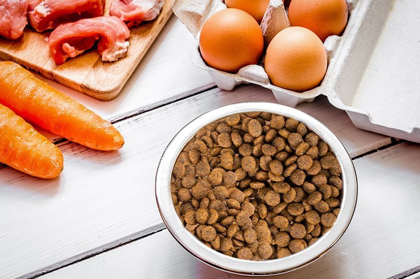 Eier, rohes, Fleisch und eine Schüssel mit Tierfutter stehen auf einer Holzarbeitsfläche.