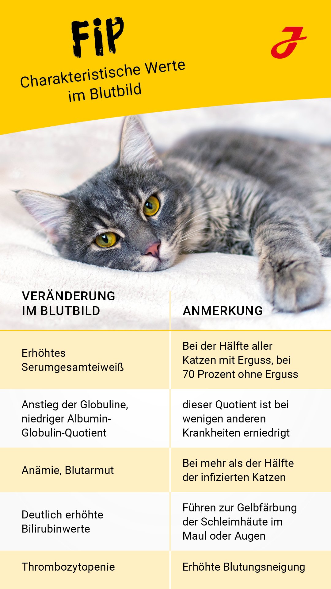 Fip Impfung Bei Katzen