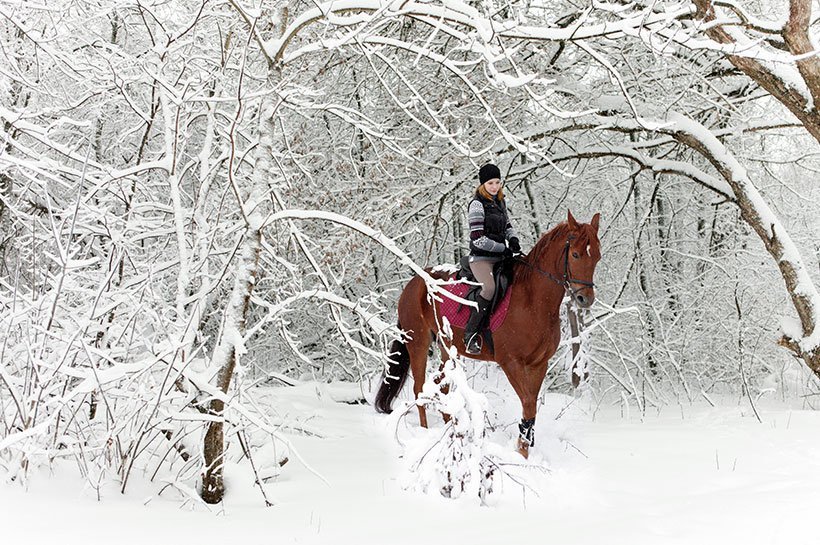 Reiter beim Reiten im Wald