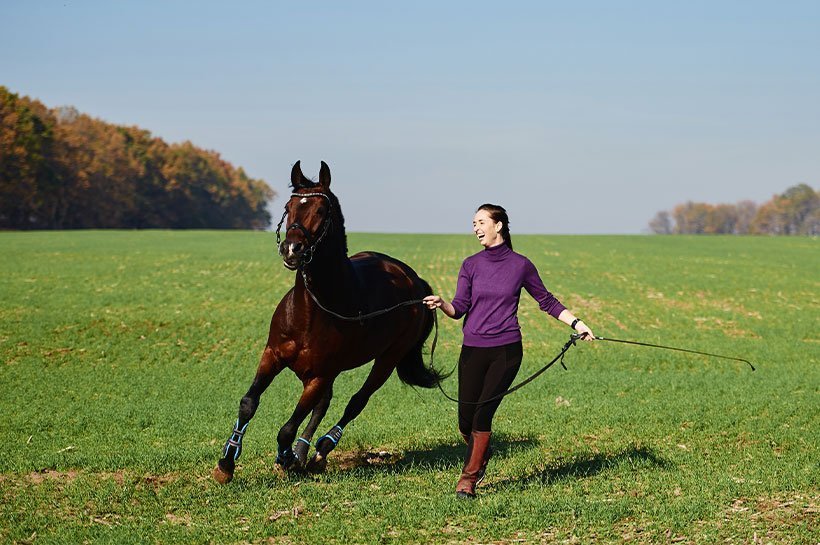 Frau und Pferd laufen über eine Wiese