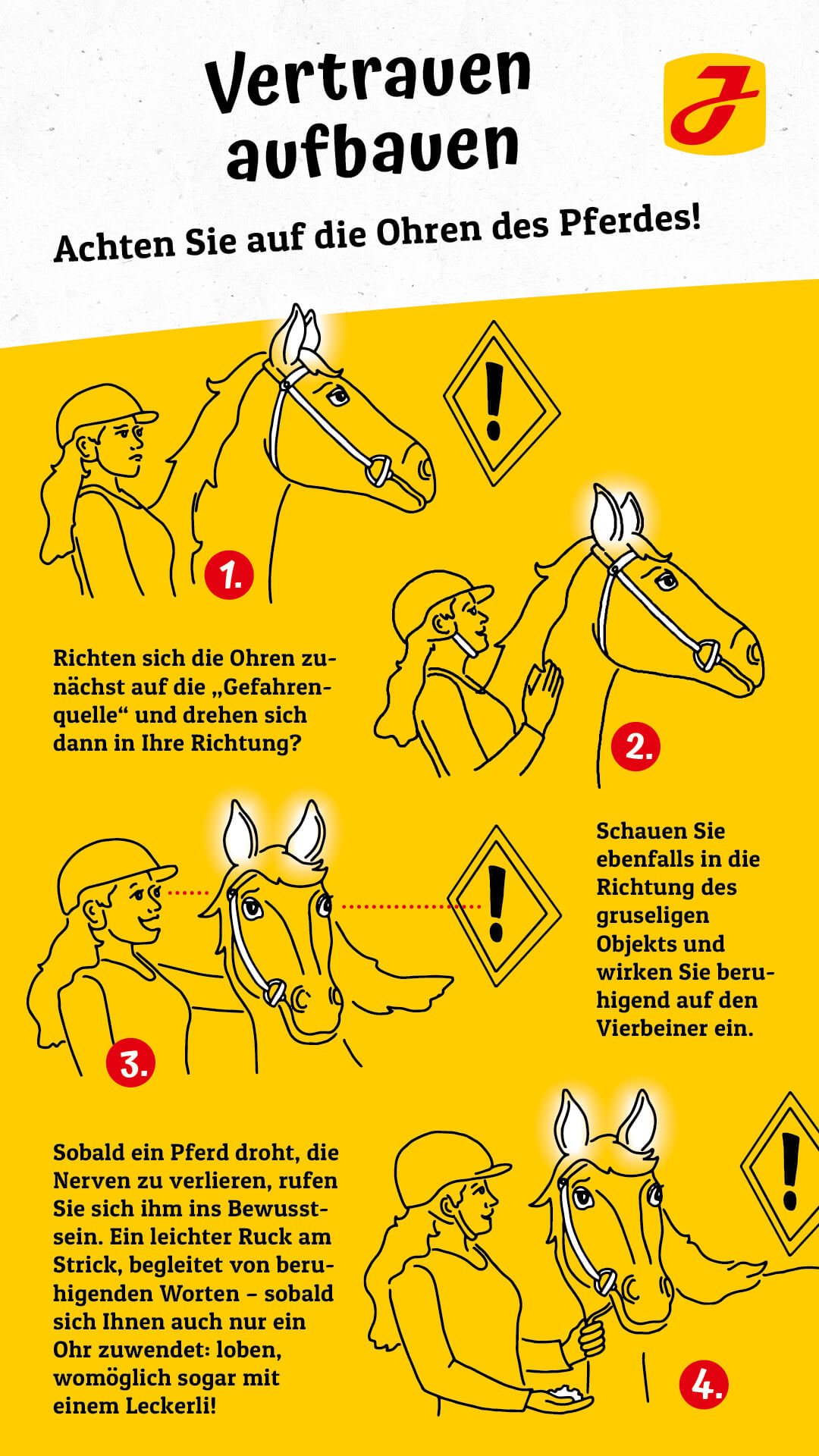 Infografik Pferd Vertrauen aufbauen Infografik Pferd Vertrauen aufbauen