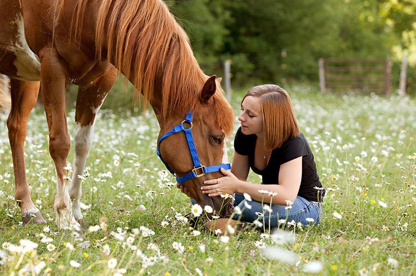 Pferd bleibt bei Frau stehen auf der Weide