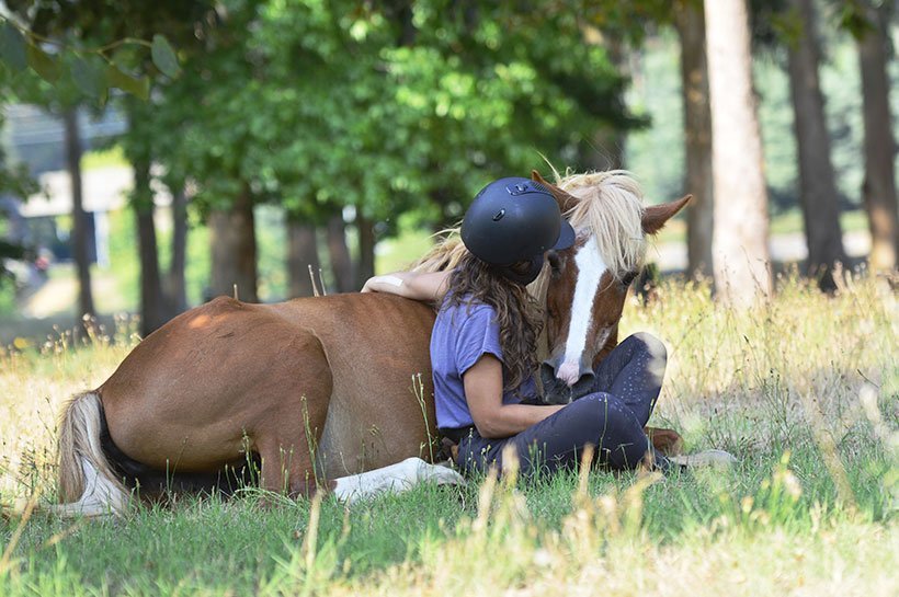 Pferd bleibt ruhig beim Liegen auf der Wiese mit Frau