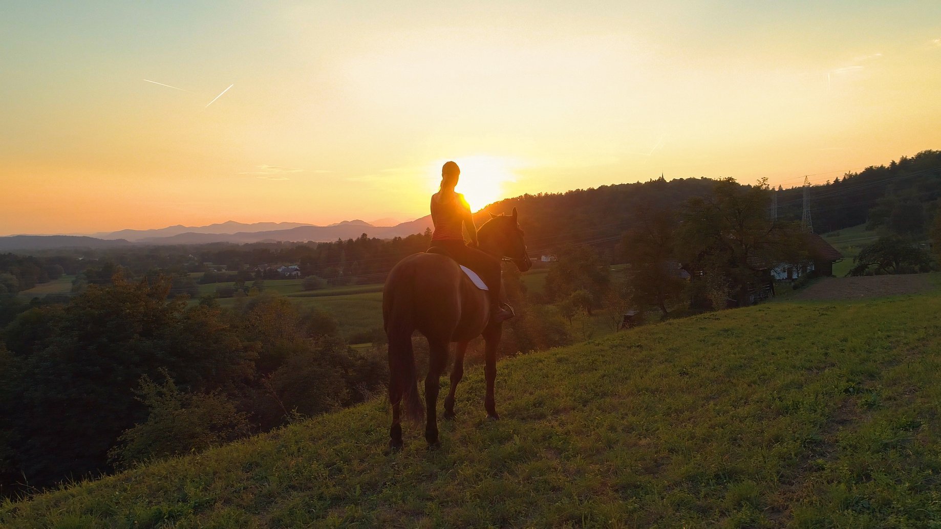 Zubehör beim Reiten auf Pferd