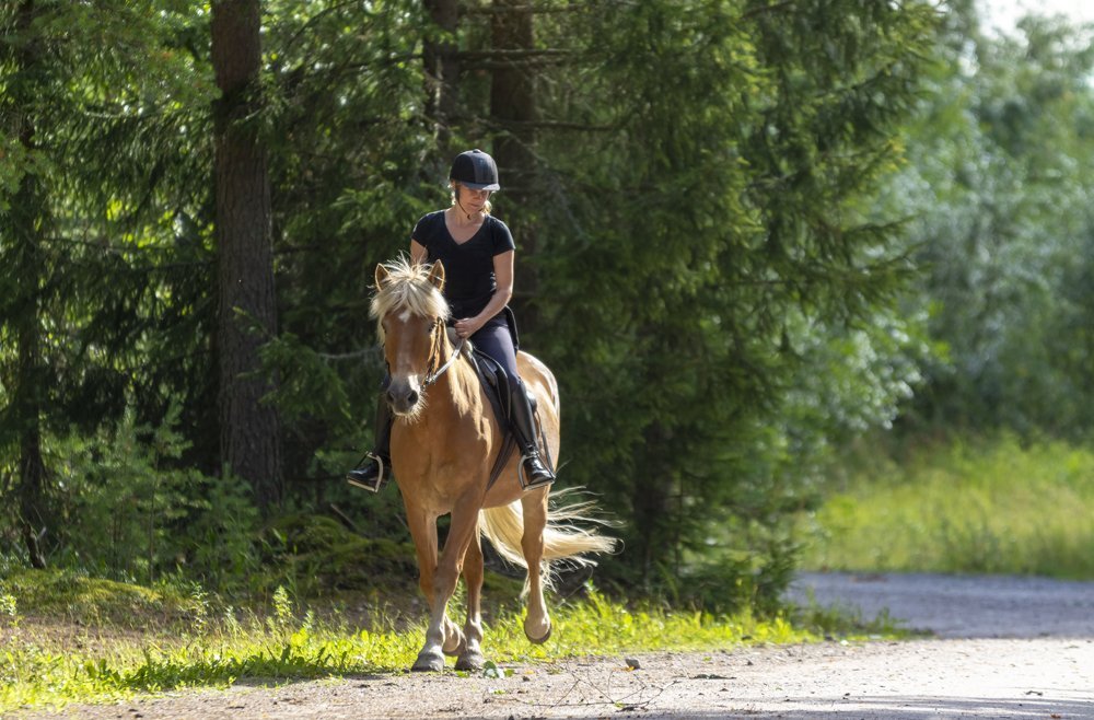 Reiterin in Reitstiefeln im Sattel