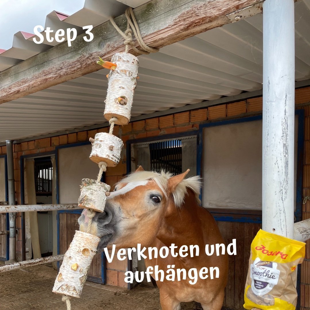 Ein Haflinger knabbert an Leckerli aus dem Knabberholz