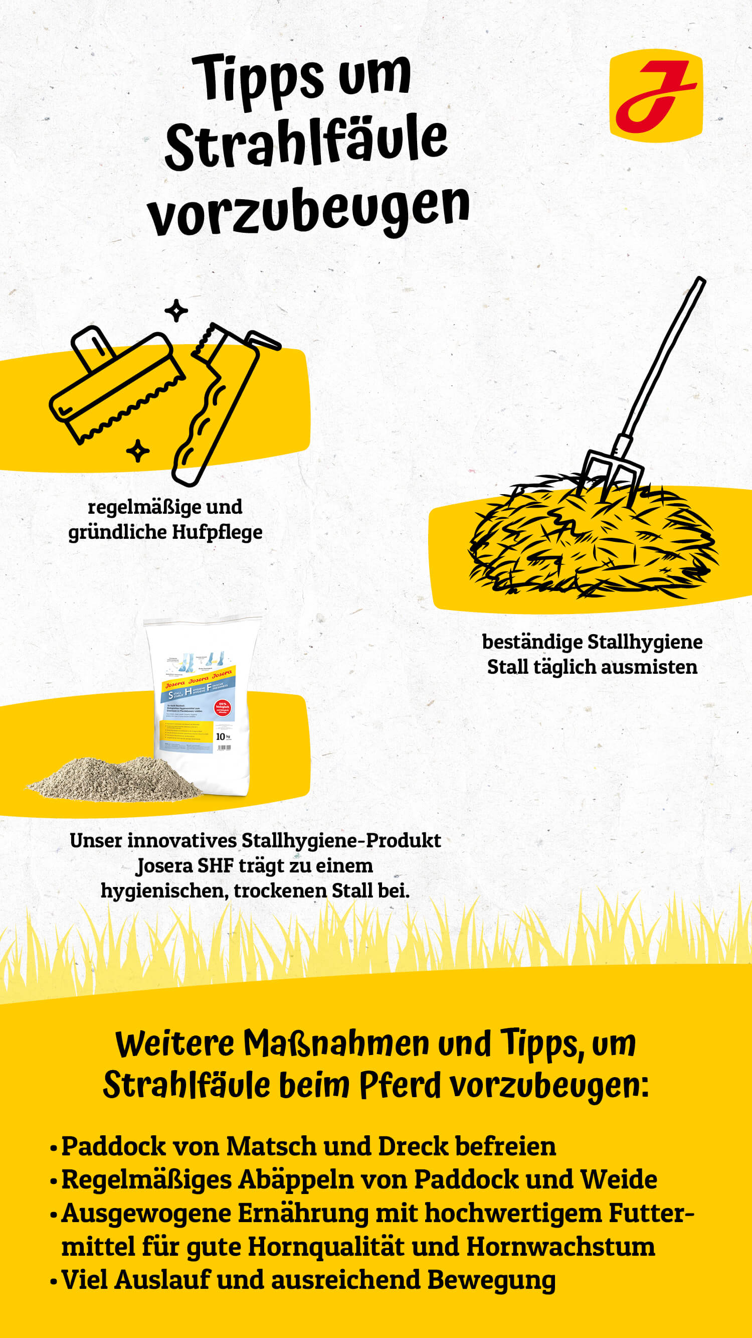 Infografik Wie kann man Strahlfäule beim Pferd vorbeugen